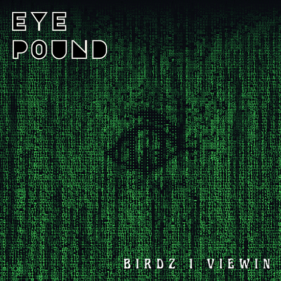 Birdz I Viewin Eye Labz Eye Pound Sneaker Book Movie Albums